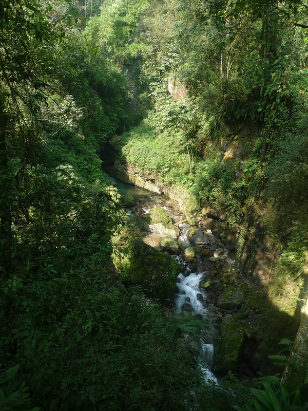 行行摄摄四川游之峨眉山