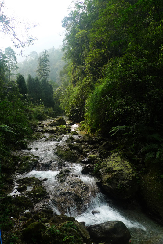 行行摄摄四川游之峨眉山
