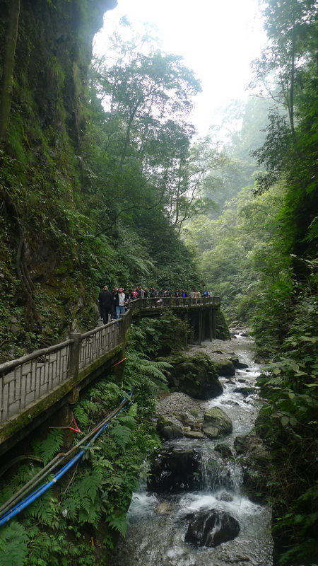 行行摄摄四川游之峨眉山
