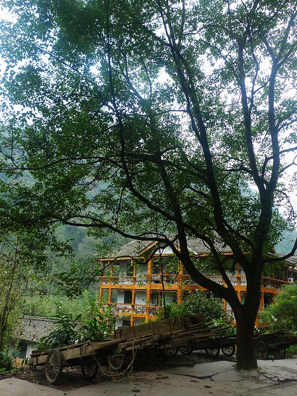 行行摄摄四川游之峨眉山