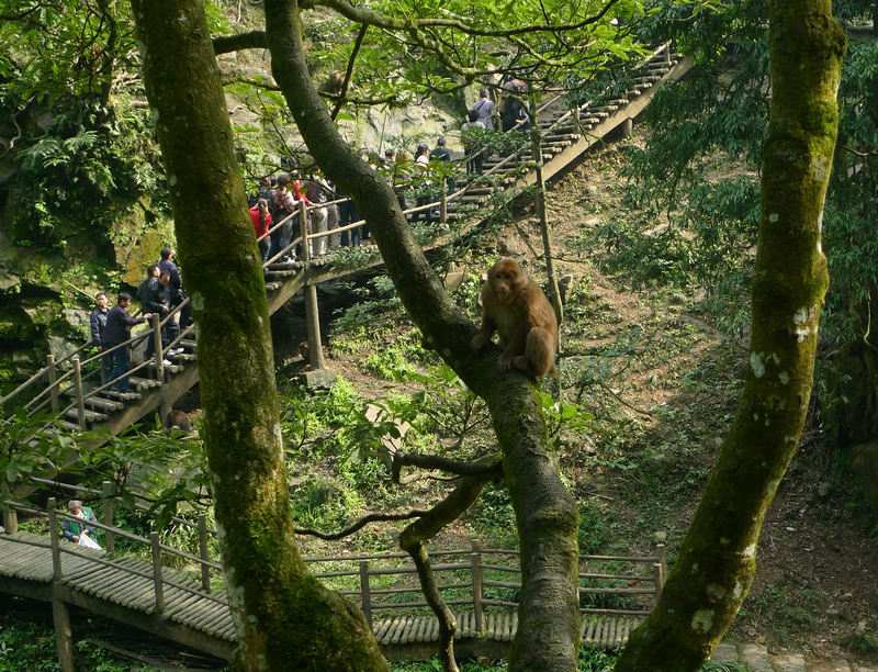 行行摄摄四川游之峨眉山