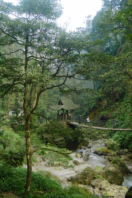 行行摄摄四川游之峨眉山