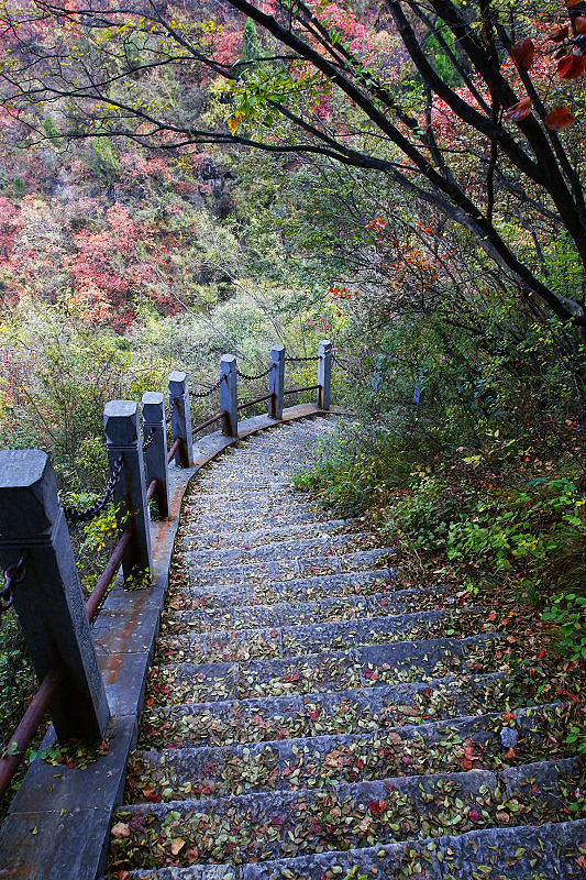 秋染太行-靳家岭