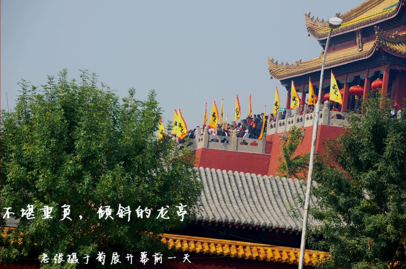 开封郑州折叠车一日游