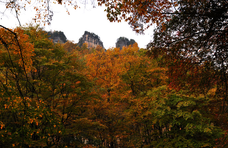 光雾山·红叶之乡