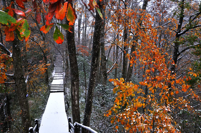 光雾山·初雪之情