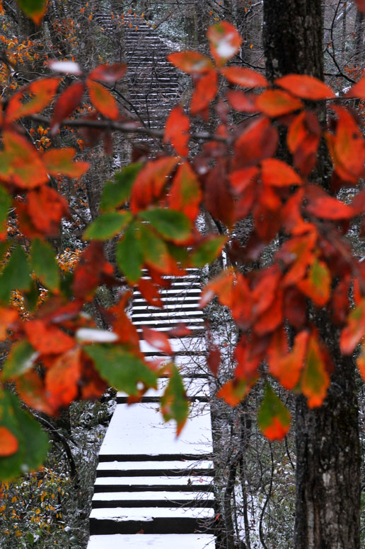 光雾山·初雪之情