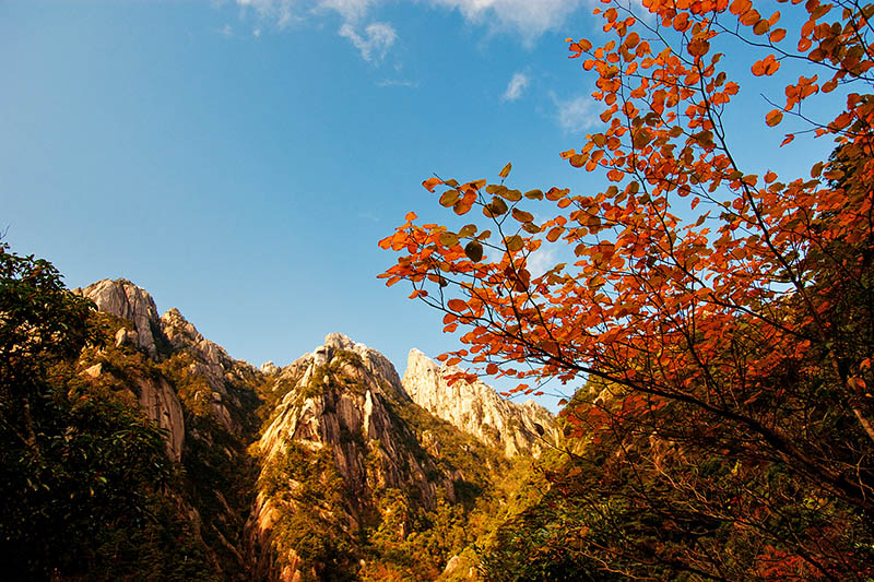 黄山-千岛湖不完全记录