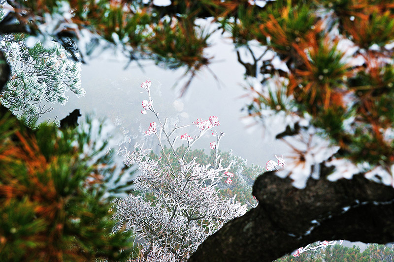 黄山-千岛湖不完全记录