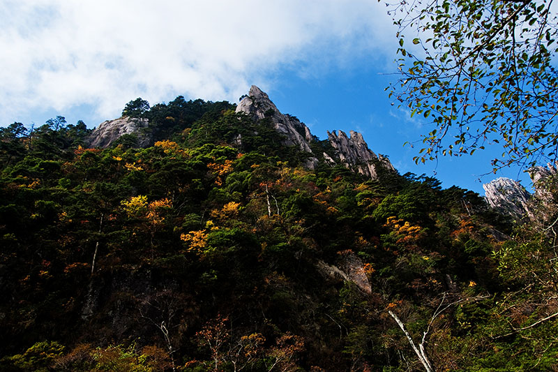 黄山-千岛湖不完全记录