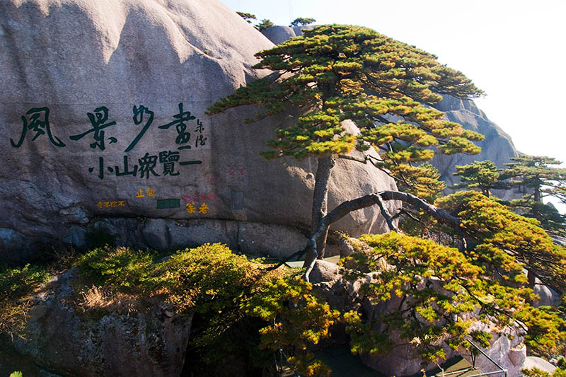 黄山-千岛湖不完全记录