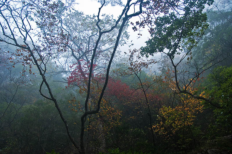 黄山-千岛湖不完全记录