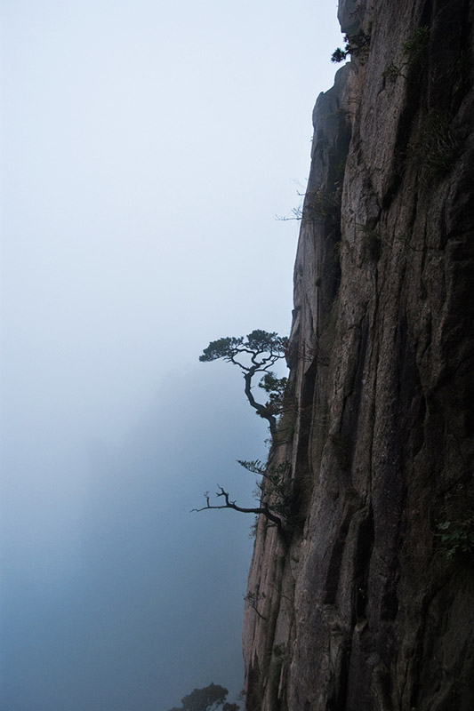 黄山-千岛湖不完全记录