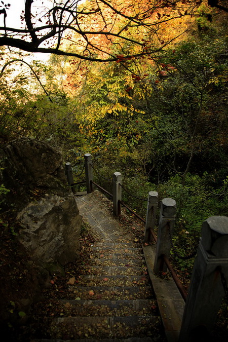 太行山石径