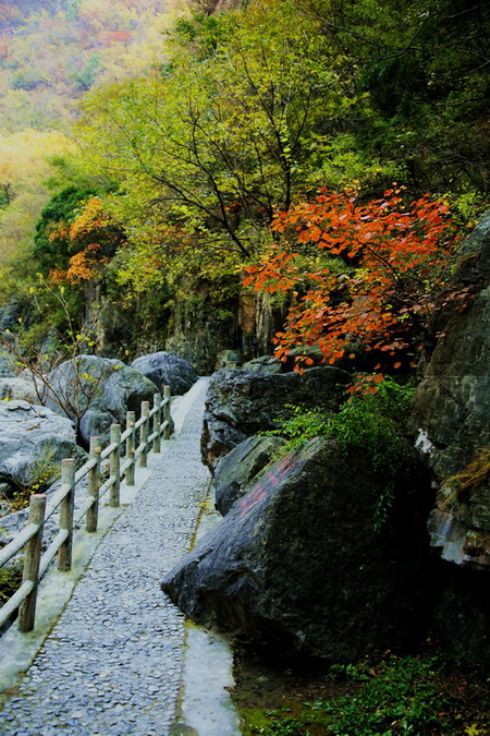 太行山石径