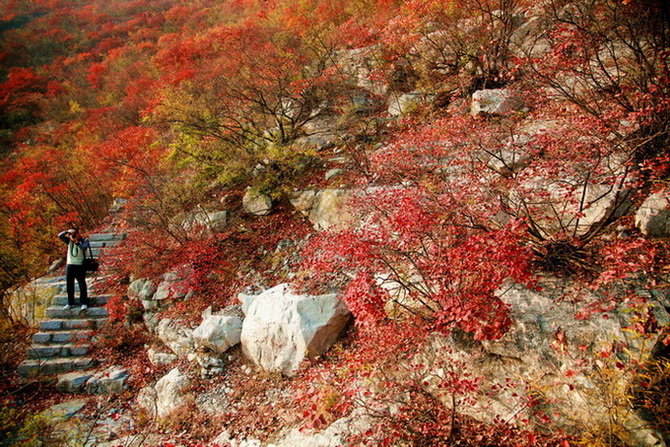 太行山石径