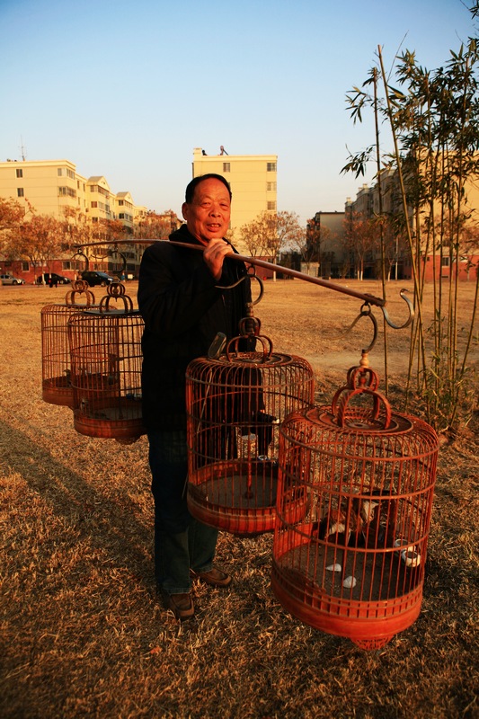 夕阳乐！