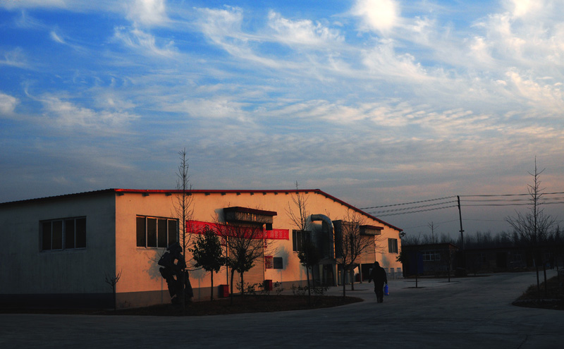 公司小景
