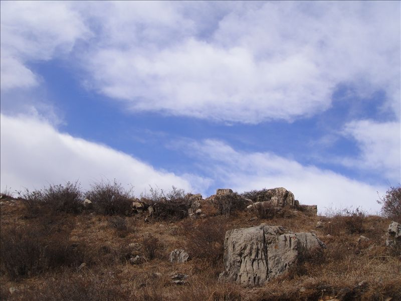 金灯寺