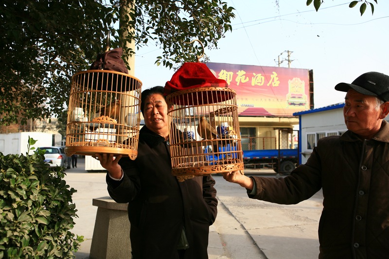 夕阳乐！