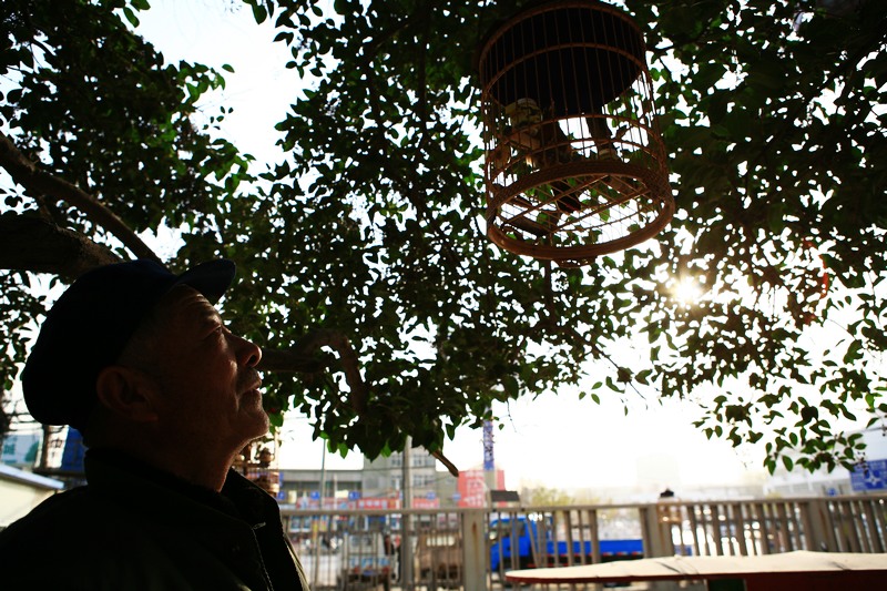 夕阳乐！