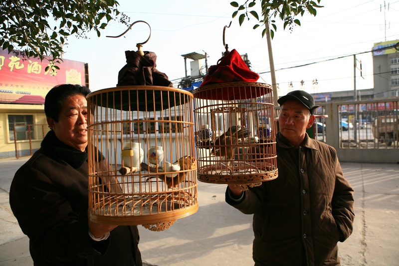 夕阳乐！