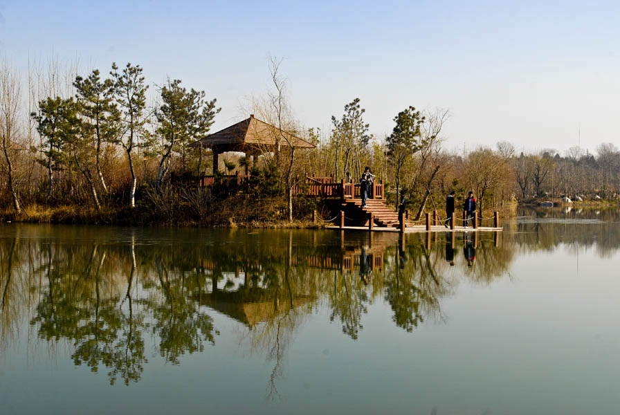 潍坊湿地秋景