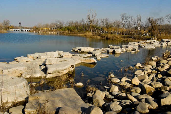 潍坊湿地秋景