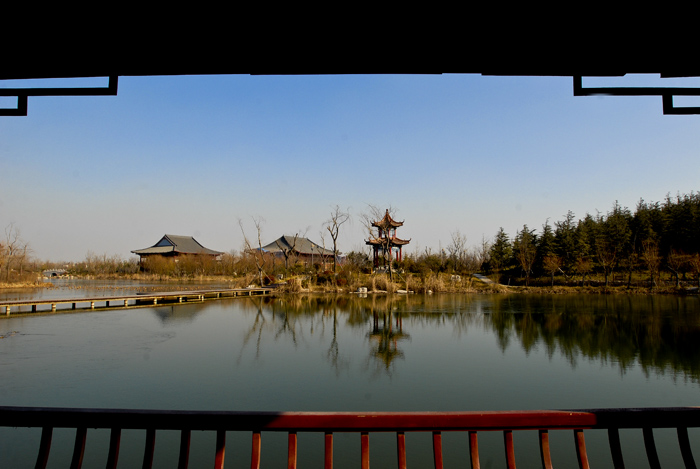 潍坊湿地秋景