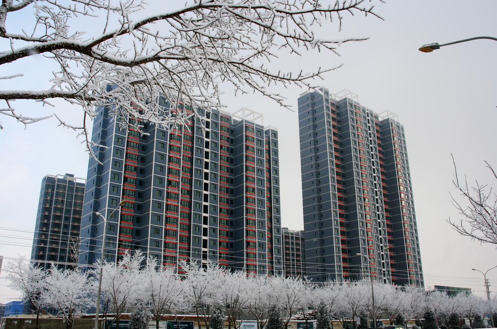 雪雾蒙蒙库尔勒