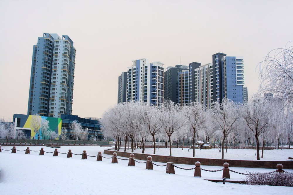 雪雾蒙蒙库尔勒