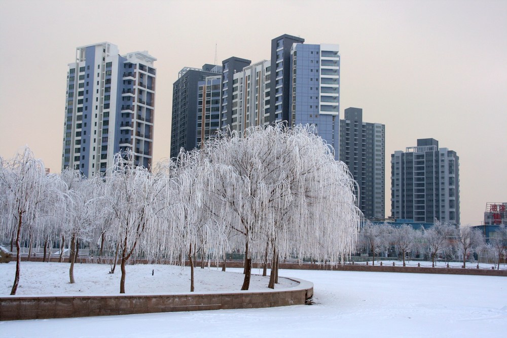 雪雾蒙蒙库尔勒