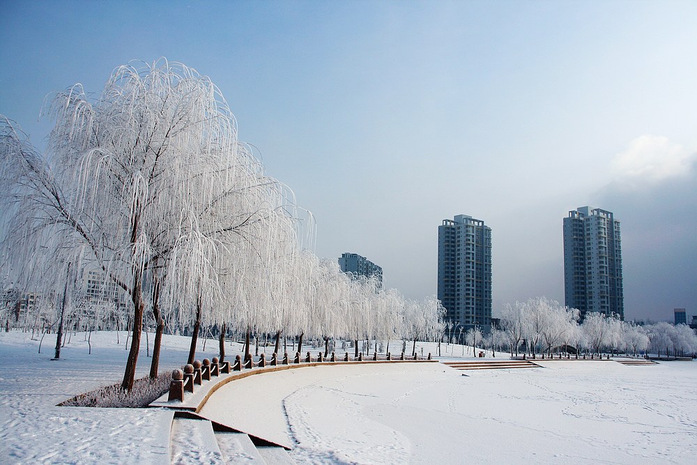 雪雾蒙蒙库尔勒