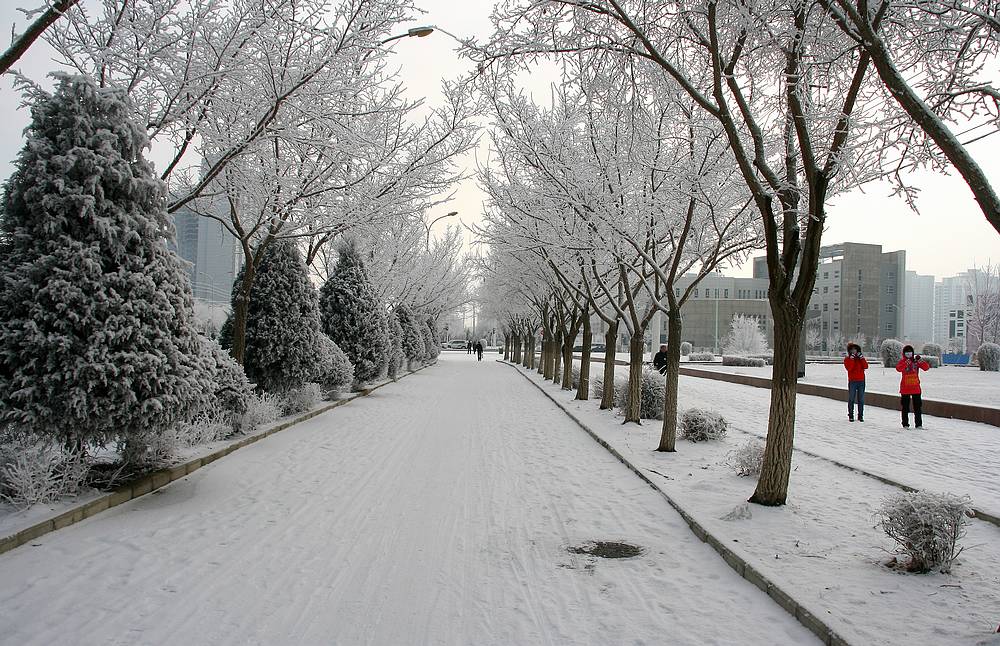 雪雾蒙蒙库尔勒