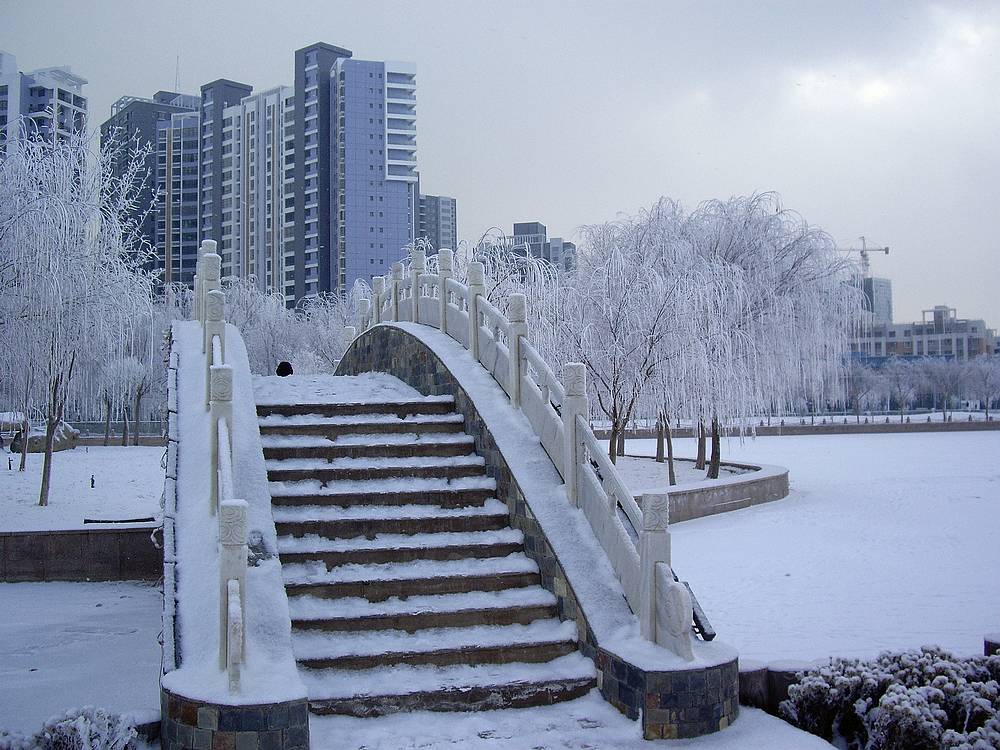 雪雾蒙蒙库尔勒