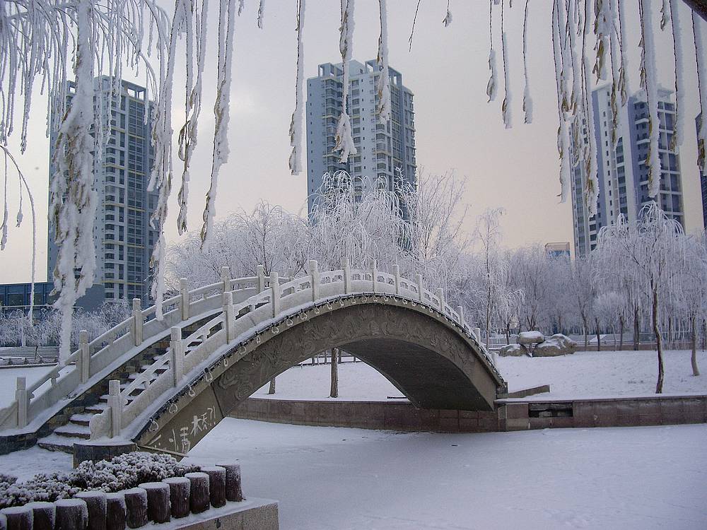 雪雾蒙蒙库尔勒