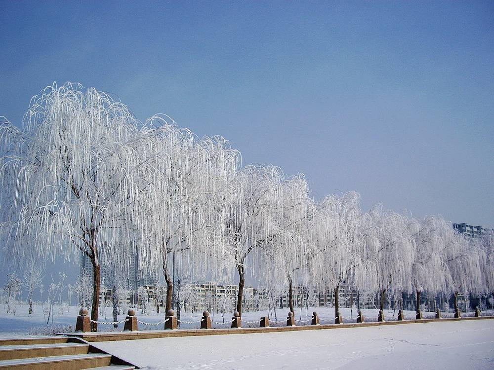 雪雾蒙蒙库尔勒