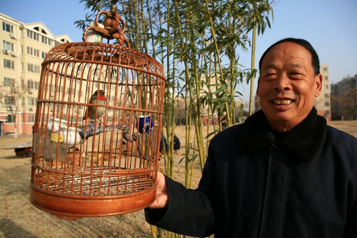 夕阳乐！