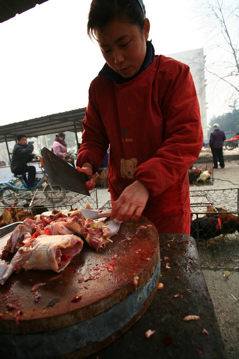 喜盈门！