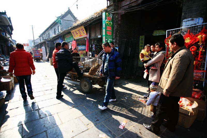 濮阳老城掠影