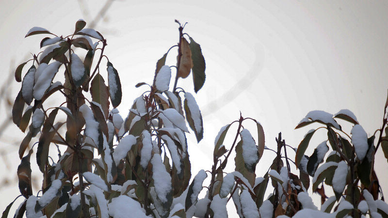JtnRh4Ib.jpg