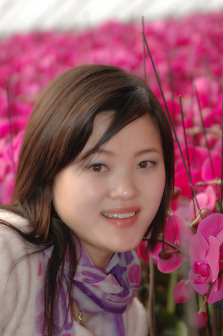 慧慧