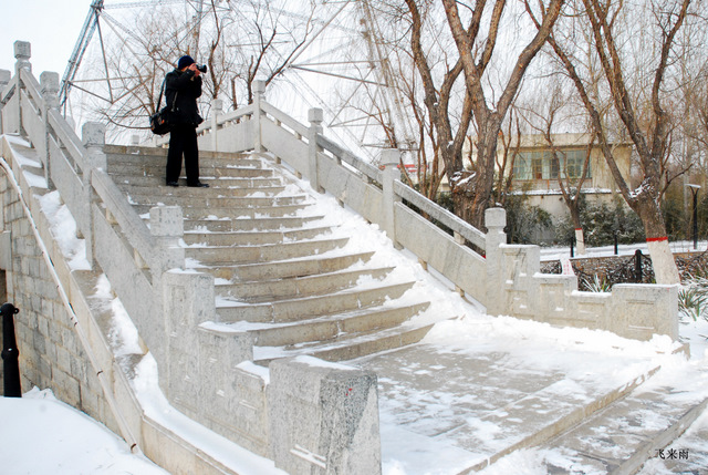 拍雪景去也