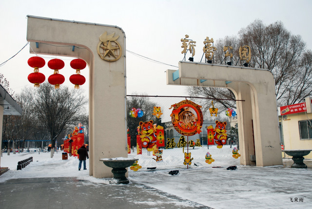 拍雪景去也