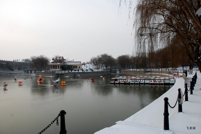 拍雪景去也