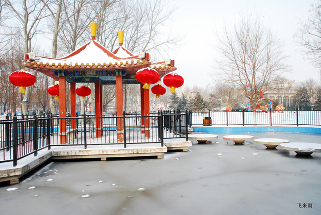 拍雪景去也