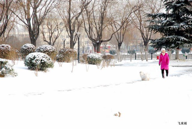 拍雪景去也
