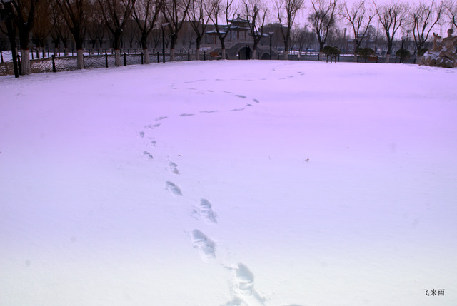 拍雪景去也