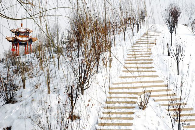 拍雪景去也