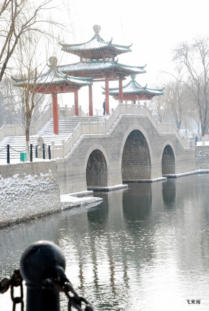拍雪景去也